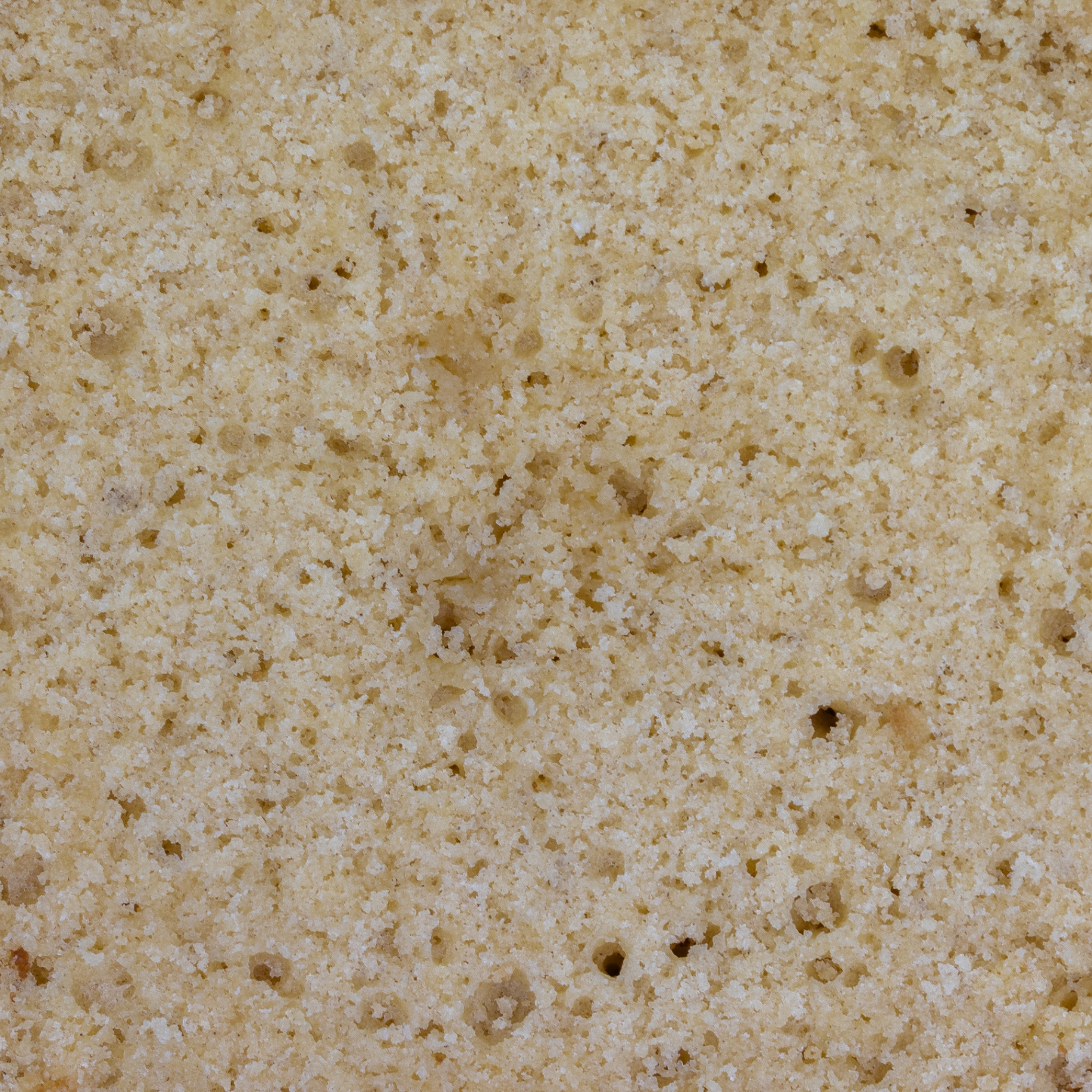Vanilla sponge sponge