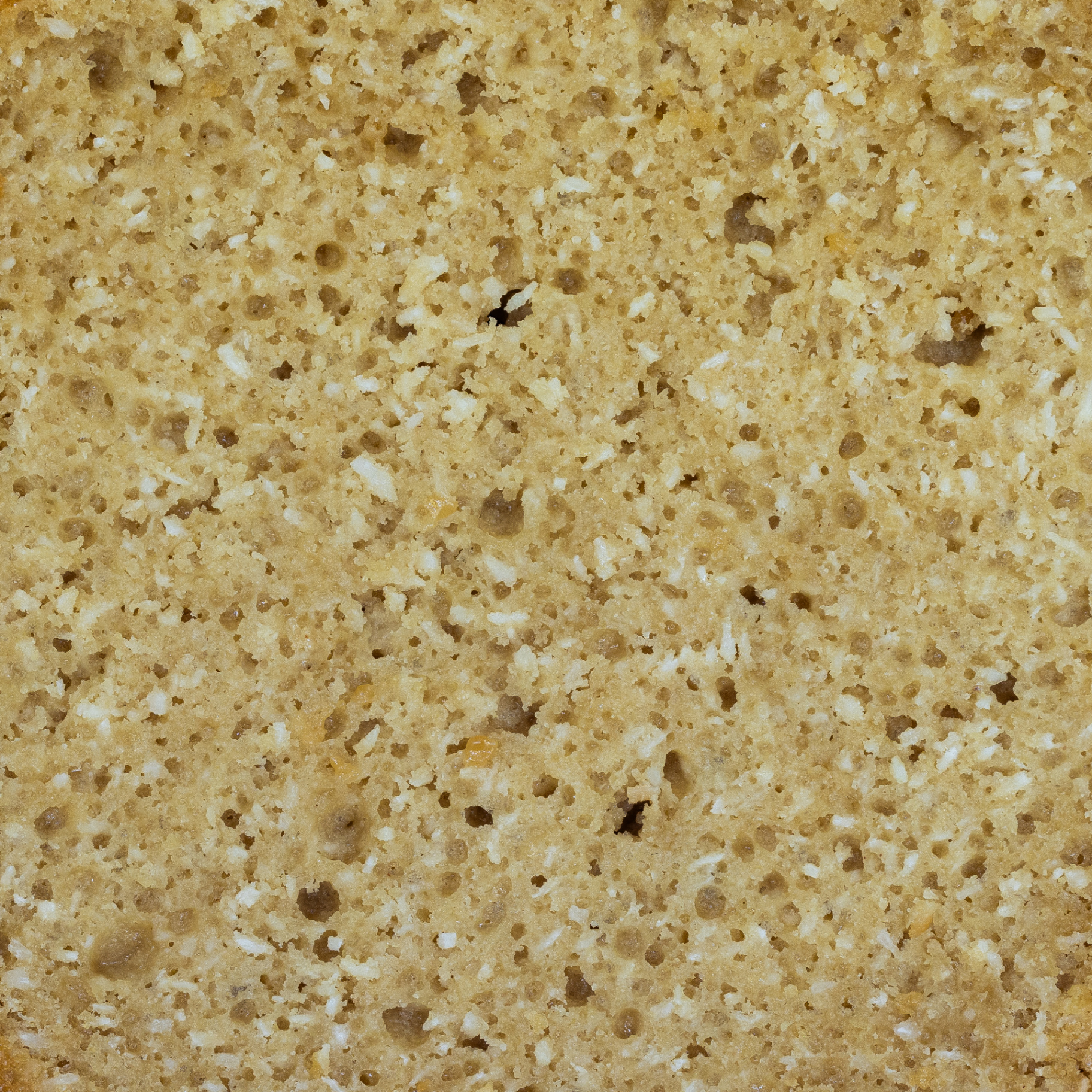 Coconut sponge