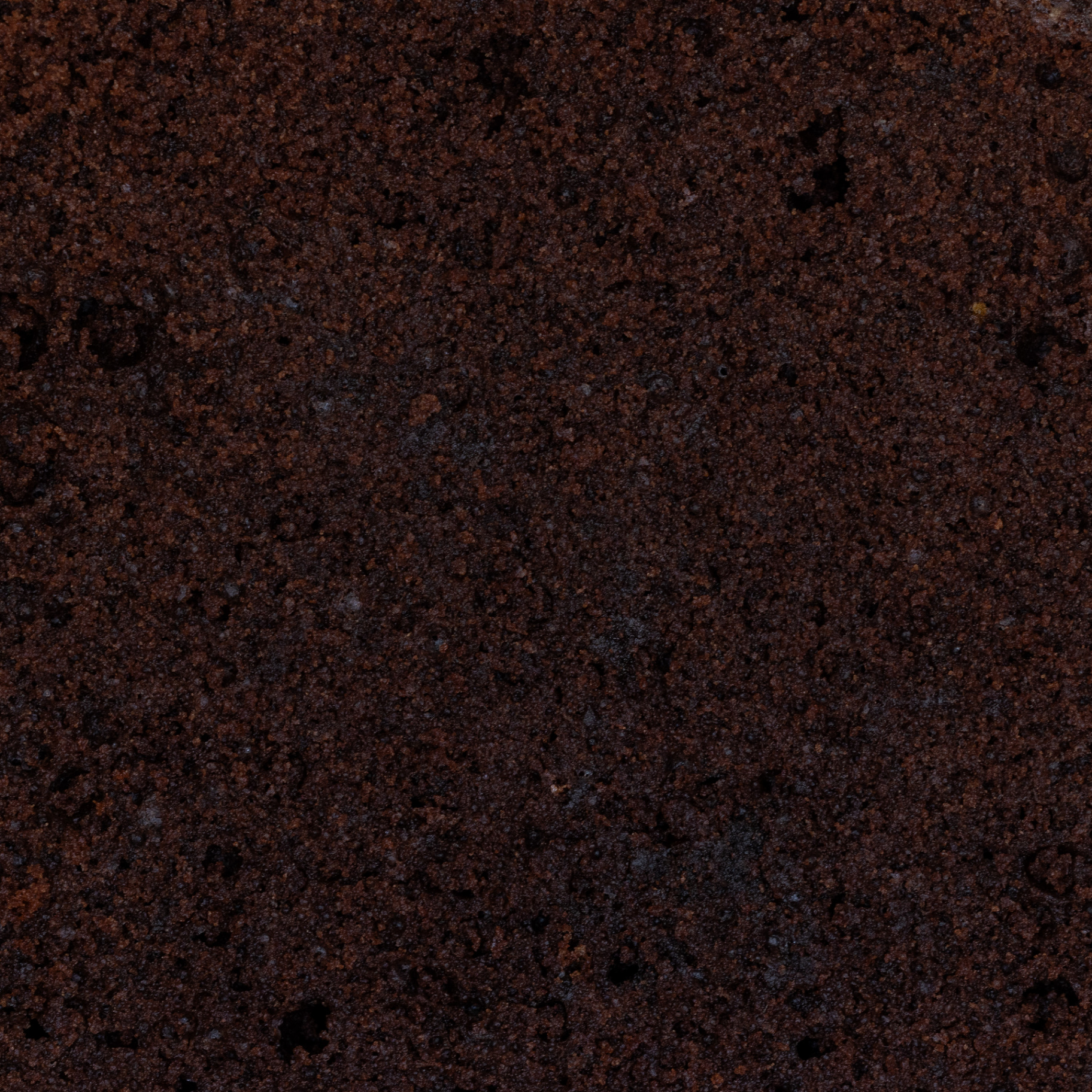 Chocolate sponge