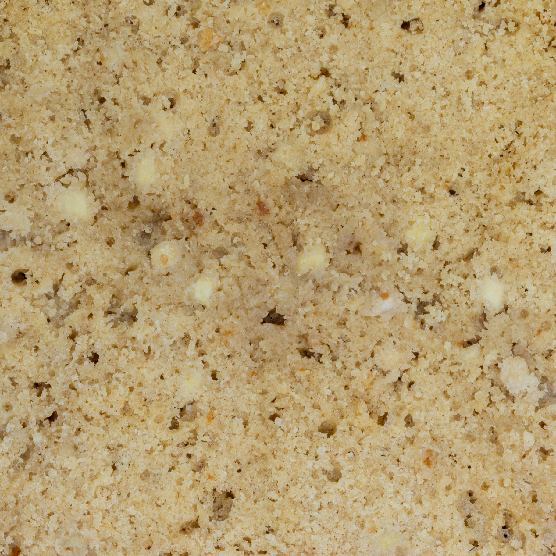 Apple & cinnamon sponge